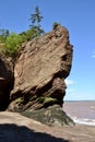 Wedge shaped cliff at Hopewell Rocks along the Bay of Fundy