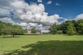 Wedgewood Park Landscape Trees And Manicured Lawn Sunny Day With Clouds