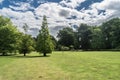 Wedgewood Park Landscape Trees And Manicured Lawn Sunny Day With Clouds