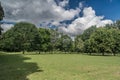 Wedgewood Park Landscape Trees And Manicured Lawn Sunny Day With Clouds