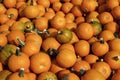 Wee-Be-Little Pumpkins 820748