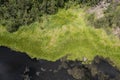 Weed And Algae Covering River Bank Royalty Free Stock Photo