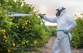 Weed insecticide fumigation. Organic ecological agriculture. Spray pesticides, pesticide on fruit lemon in growing agricultural