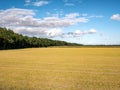 Weed killer, glyphosate, a chemical herbicide, on field to control weeds in Flevopolder, Netherlands Royalty Free Stock Photo