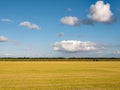 Weed killer, glyphosate, a chemical herbicide, on field to control weeds in Flevopolder, Netherlands Royalty Free Stock Photo