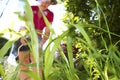 Weed Killer Royalty Free Stock Photo