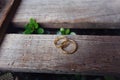 Weeding ring Royalty Free Stock Photo