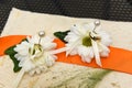 Weeding rings pinned on white daisies. Royalty Free Stock Photo