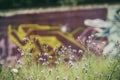 Weeds and Graffiti