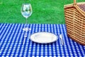 Weekend Picnic Concept