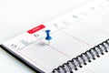 Weekly agenda with spiral and pin Royalty Free Stock Photo