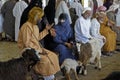 People and goats at animal market in Oman