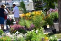 Weekly green market in Gmunden