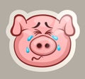 Weep pig sticker Royalty Free Stock Photo