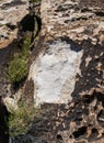 Weepah Spring Wilderness Stolen Petrogylph Royalty Free Stock Photo