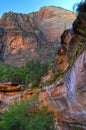 Weeping Rock in Zion Canyon