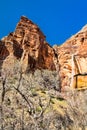 Weeping Rock Waterfall in Zion National Park Royalty Free Stock Photo