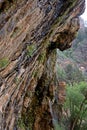 Weeping Rock, Zion National Park, Utah, USA Royalty Free Stock Photo