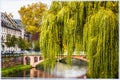 Weeping willow and the bridge. Strasbourg, France Royalty Free Stock Photo