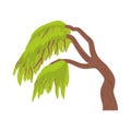 Weeping willow icon in cartoon style