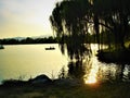 Weeping willow, luminescence, evanescence, lake, boat and fairytale atmosphere Royalty Free Stock Photo