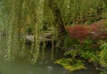 Weeping Willow Over The Deck On The Pond