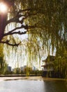 Weeping willow over the moat with the Sakuradayagura on the background.Tokyo Imperial Palace. Japan