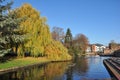 Weeping Willow, River Hiz, Hitchin Town Centre