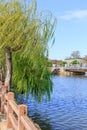 Weeping Willow tree the river of Japan bridge of Himeji Castle. Royalty Free Stock Photo