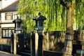 Weeping willow trees and bridge, Kinosaki Japan.