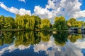 Weeping willow trees