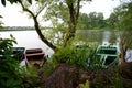 weeping willow trunk near the river and wooden boats