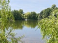 Between the weeping willows on the shore of Staunton Harold Reservoir