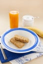 Weet Bix Royalty Free Stock Photo