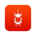 Weevil beetle icon digital red
