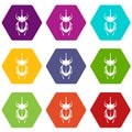 Weevil beetle icon set color hexahedron