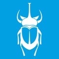 Weevil beetle icon white