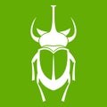 Weevil beetle icon green