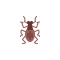 Weevil insect flat icon