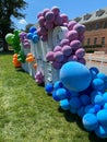 Wegmans Grocery Store Grand Opening Balloons