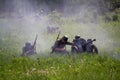 Wehrmacht soldiers with anti-tank guns are fighting