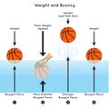 Weight and Buoyancy Infographic Diagram experiment