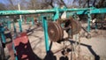 Weight at gym in hydropark open air. Kiev, Ukraine