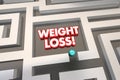 Weight Loss Diet Lose Pounds Eat Less Maze Royalty Free Stock Photo