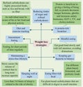 Weight loss strategies may include intermittent fasting and appropriate diet