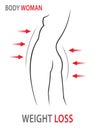 Weight loss. Woman body, waist. Diet. Vector illustration