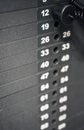 Weight stack gym Royalty Free Stock Photo