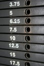 Weight Stack Scale Royalty Free Stock Photo