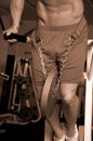 Weighted dips sepia Royalty Free Stock Photo