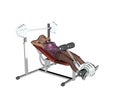 Weightlifter bench